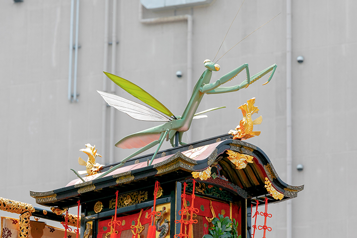 蟷螂山のカマキリ